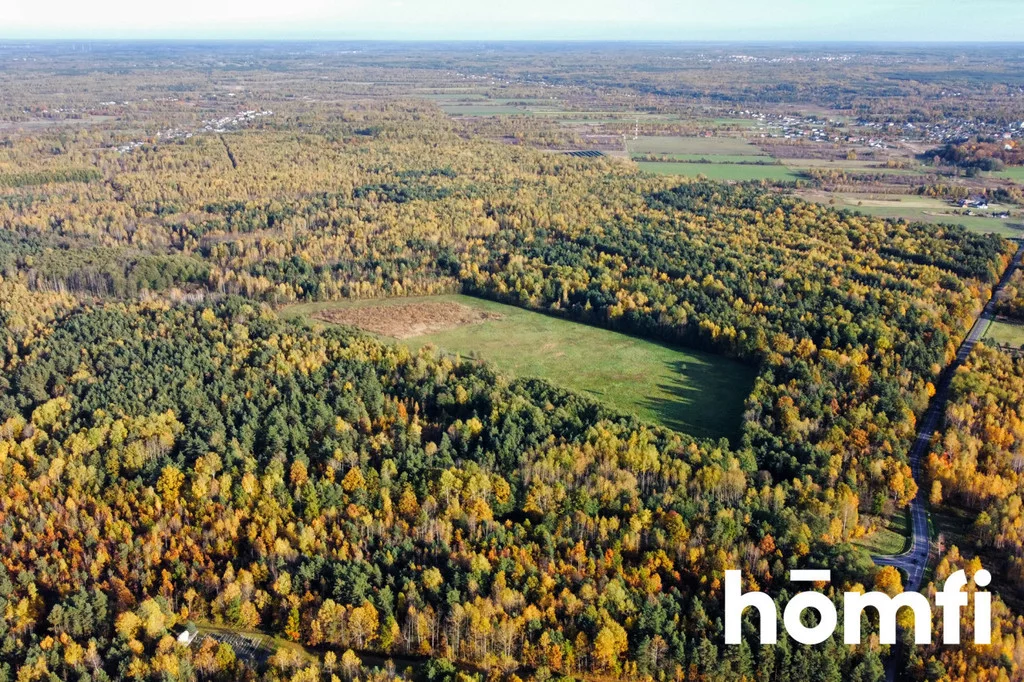 Działka 130 600,00 m², oferta nr , 2184/2089/OGS, Chlewiska