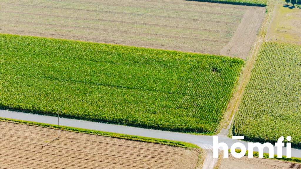 Działka 7 100,00 m², oferta nr , 2692/2089/OGS, Dąbrowa