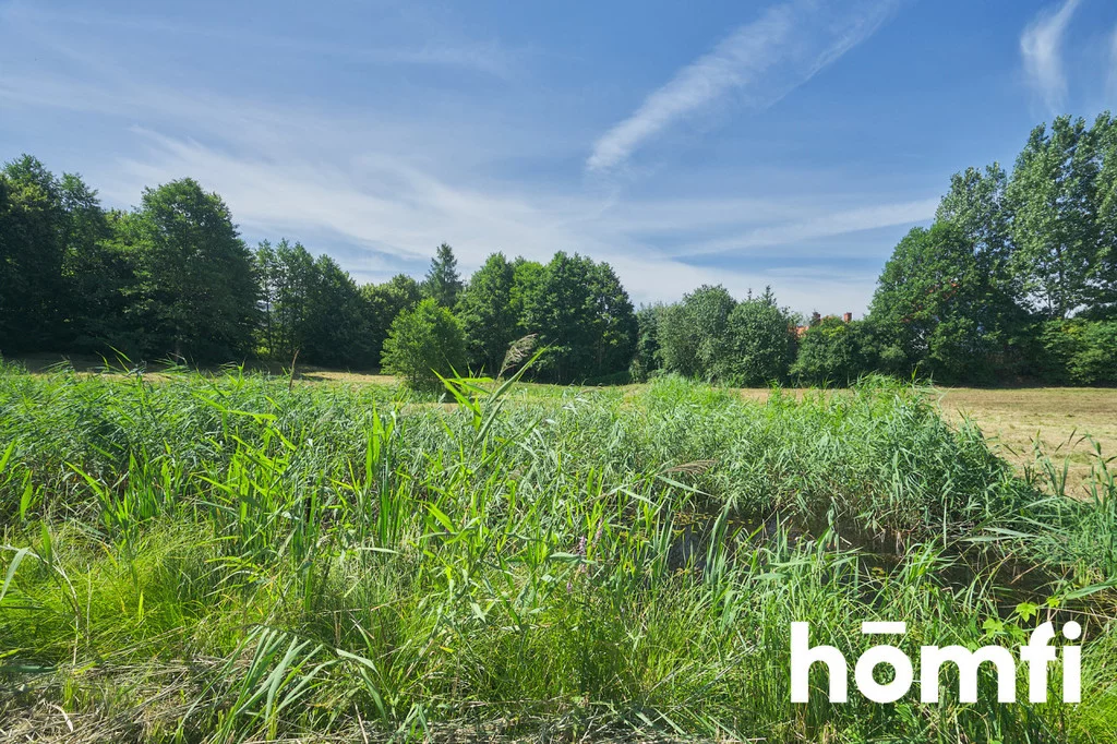 Działka 13 000,00 m², oferta nr , 2231/2089/OGS, Dorotowo