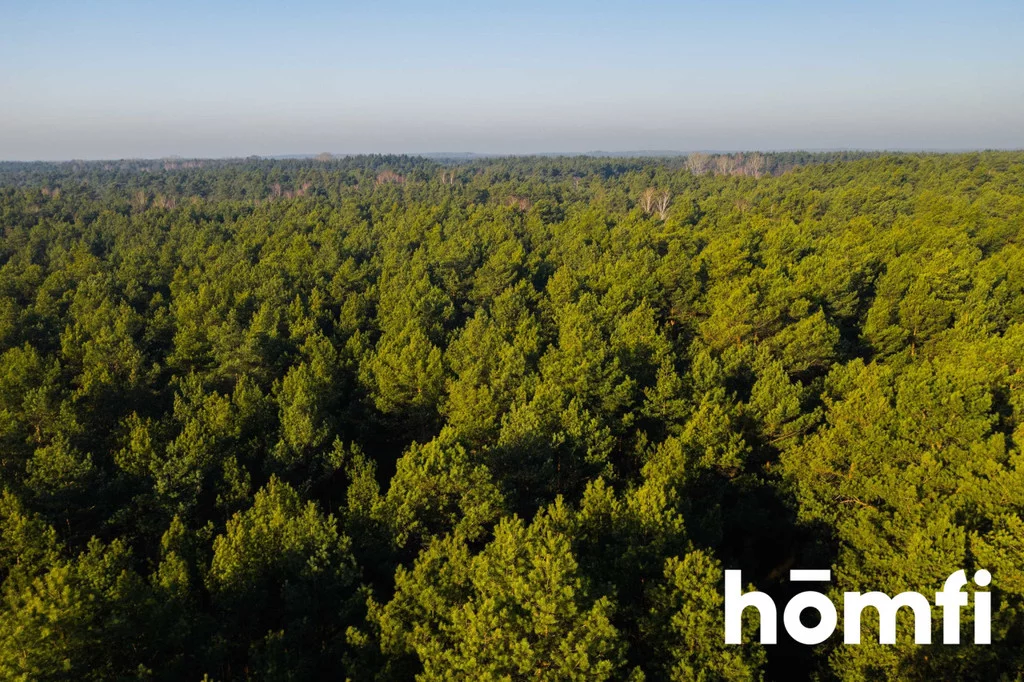 Działka 3 766,00 m², oferta nr , 1443/2089/OGS, Emów