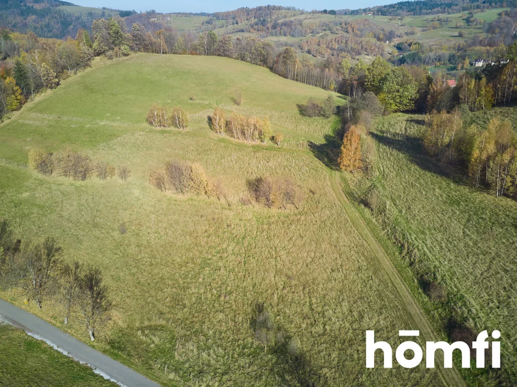 Działka 2 119,00 m², oferta nr , 1962/2089/OGS, Walim, Kolonia Górna