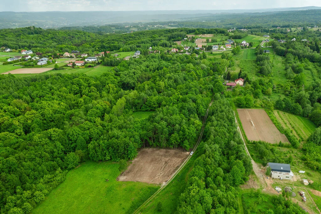 2570/2089/OGS - zdjęcie nr 4