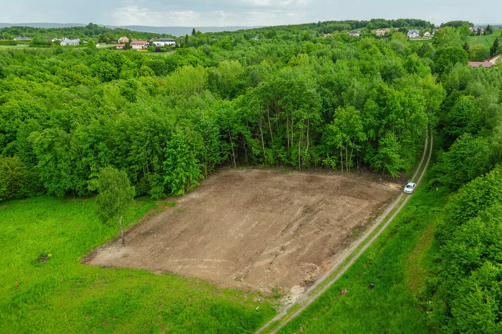 Działka 1 784,00 m², oferta nr , 2570/2089/OGS, Tyczyn, Lasek