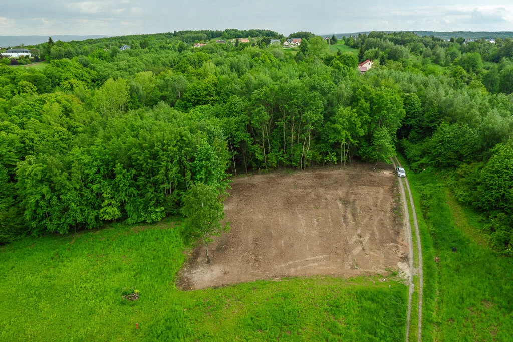 Działka 1 784,00 m², oferta nr , 2570/2089/OGS, Tyczyn, Lasek