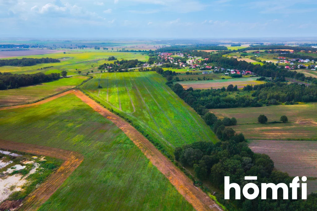 Działka 118 983,00 m², oferta nr , 2272/2089/OGS, Mazurowice