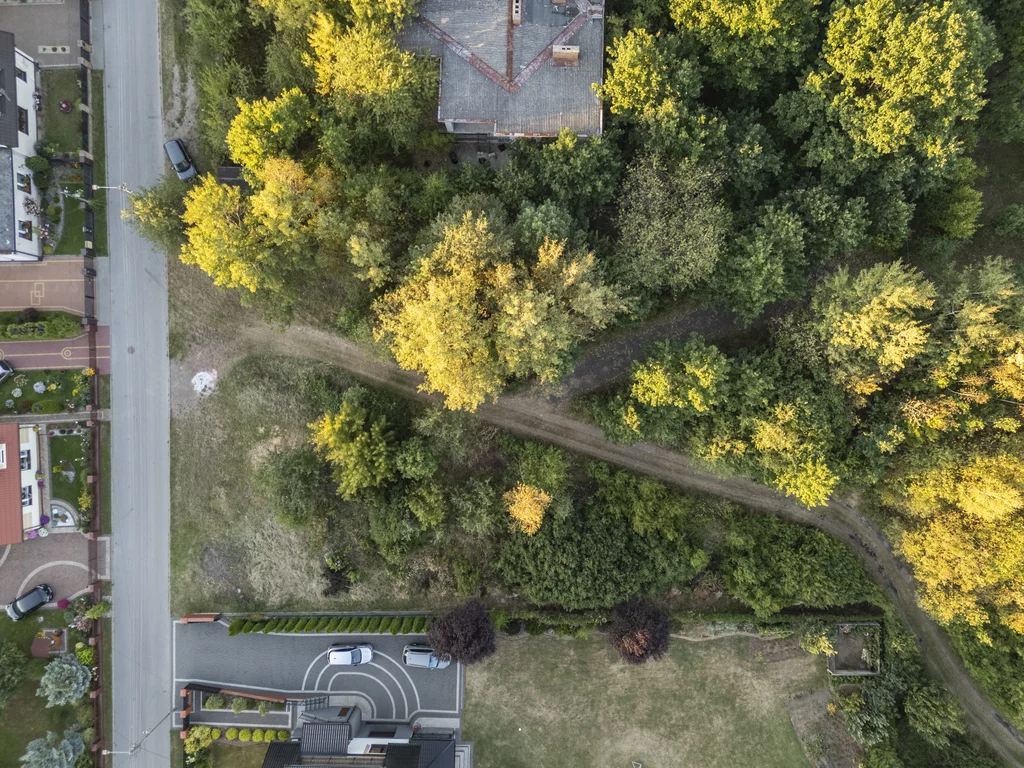 Działka 2 321,00 m², oferta nr , 2676/2089/OGS, Starachowice, Podlesie