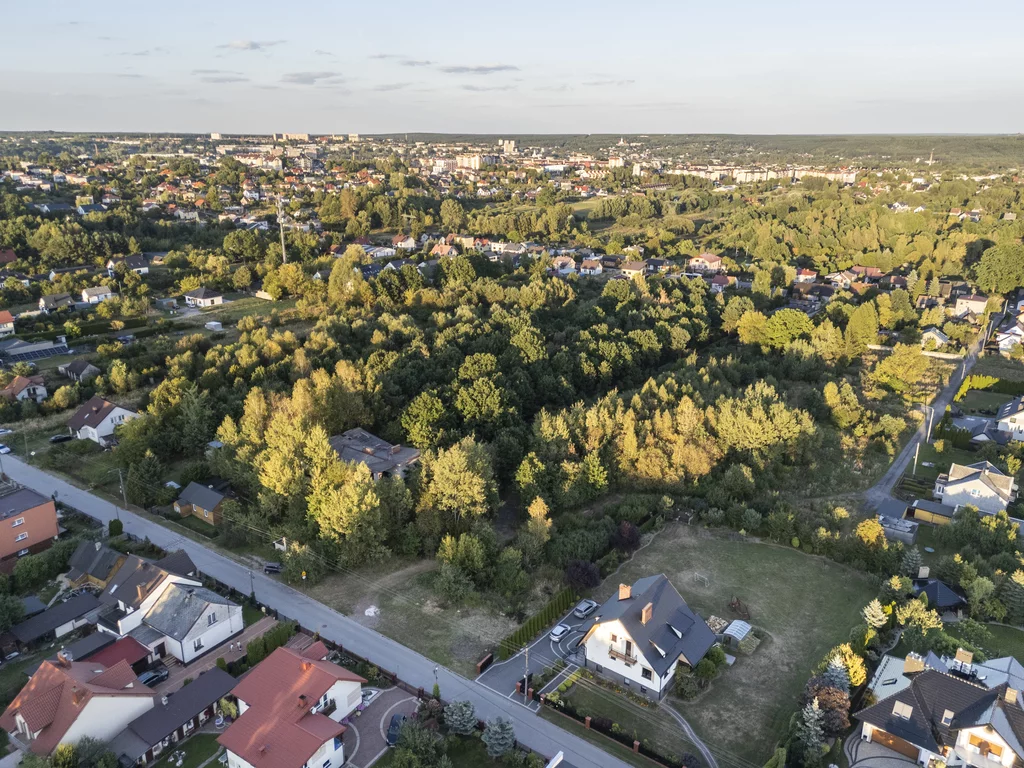 Działka 2 321,00 m², oferta nr , 2676/2089/OGS, Starachowice, Podlesie