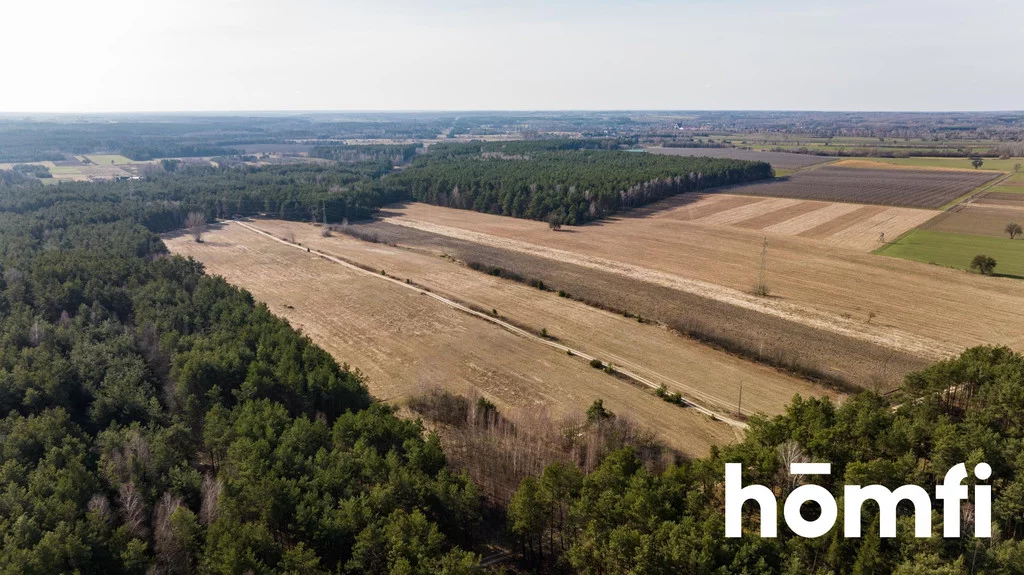 Działka 140 000,00 m², Rogożek, Sprzedaż