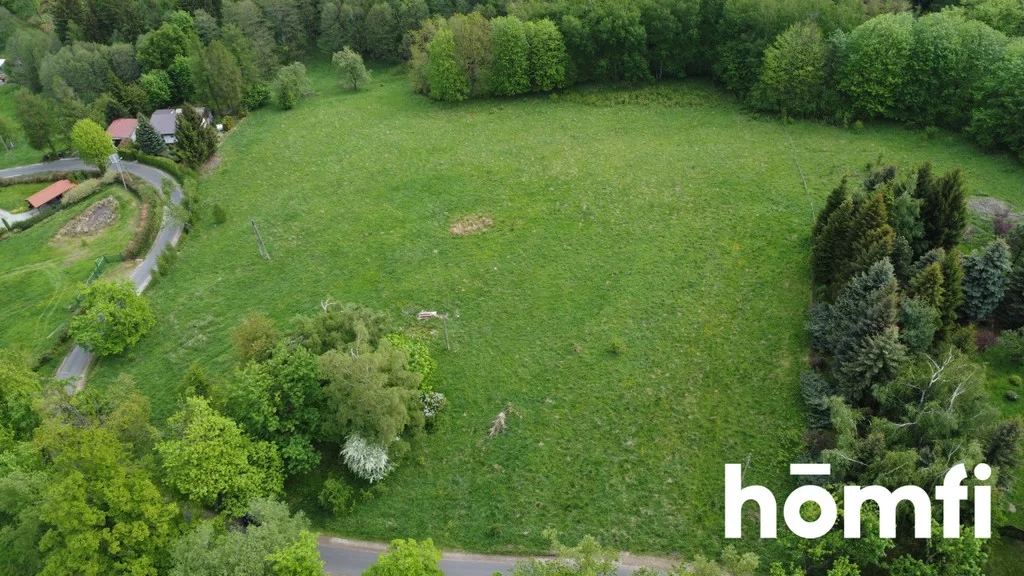 Działka 13 740,00 m², oferta nr , 2190/2089/OGS, Walim