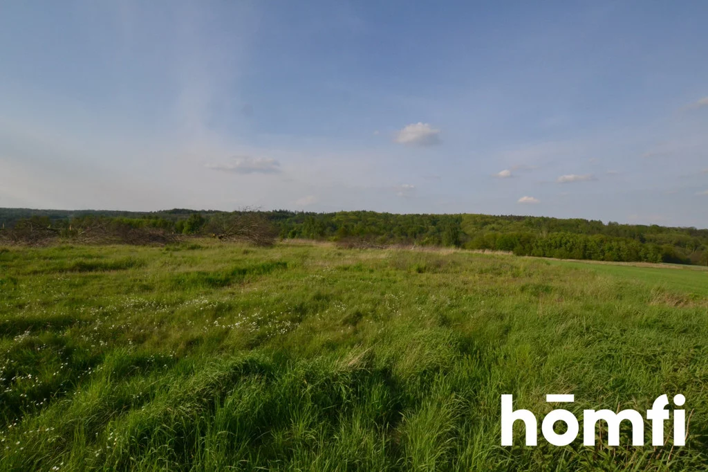 Działka 19 280,00 m², oferta nr , 1380/2089/OGS, Rzeczyce, Wiejska