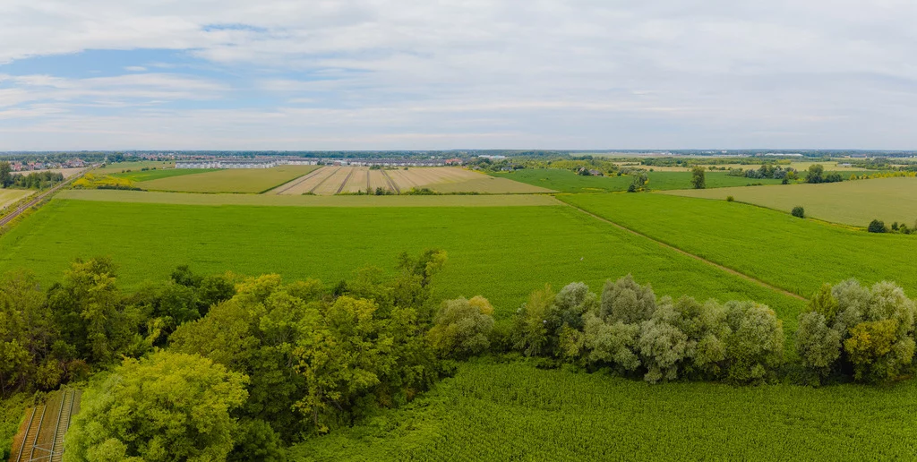 Działka 76 146,00 m², oferta nr , 2631/2089/OGS, Wrocław, Muchobór Wielki