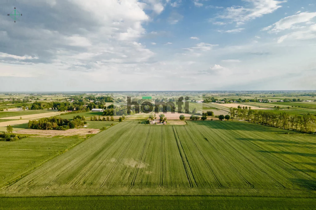 Działka 80 000,00 m², oferta nr , 1796/2089/OGS, Żaby