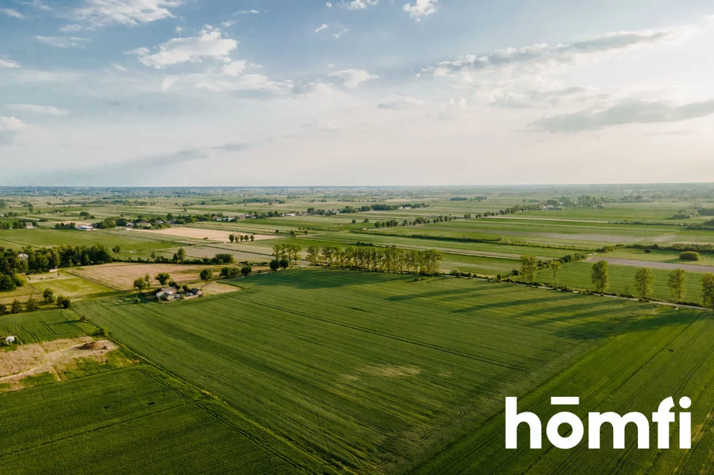 Działka 80 000,00 m², oferta nr , 1796/2089/OGS, Żaby