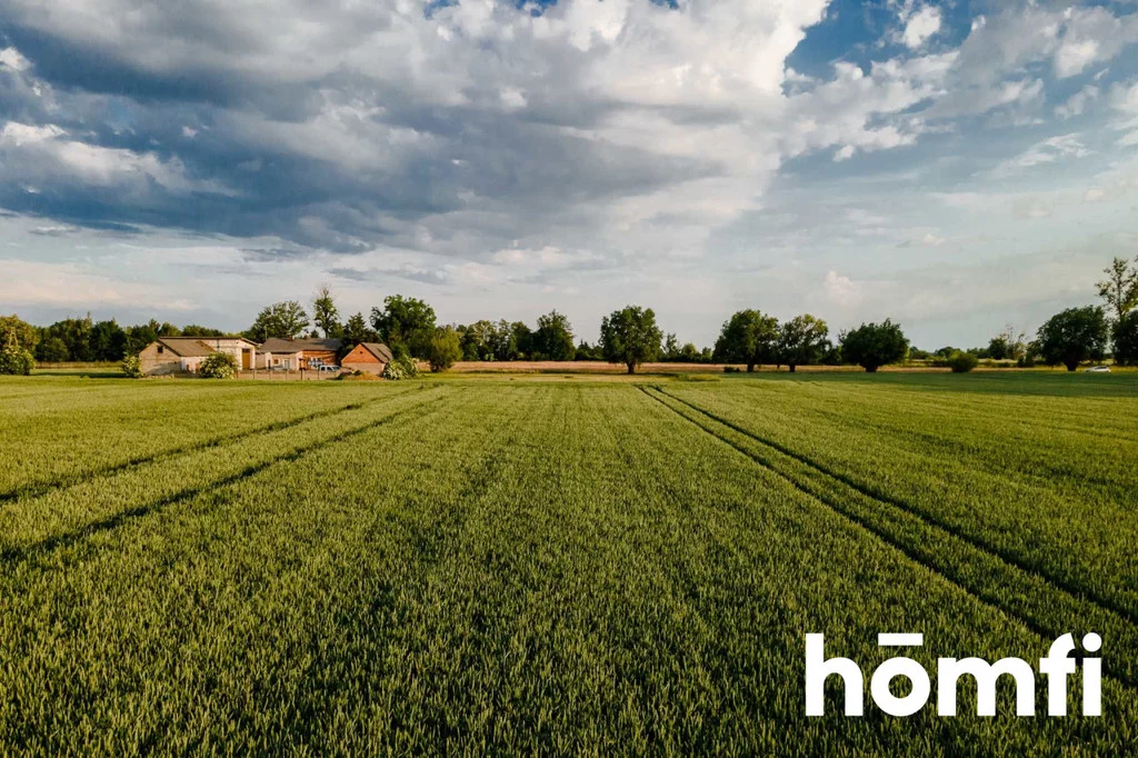 Działka 80 000,00 m², oferta nr , 1796/2089/OGS, Żaby