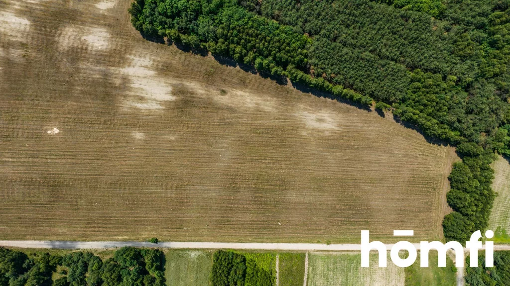 Działka 1 191,00 m², oferta nr , 1793/2089/OGS, Zdziechów