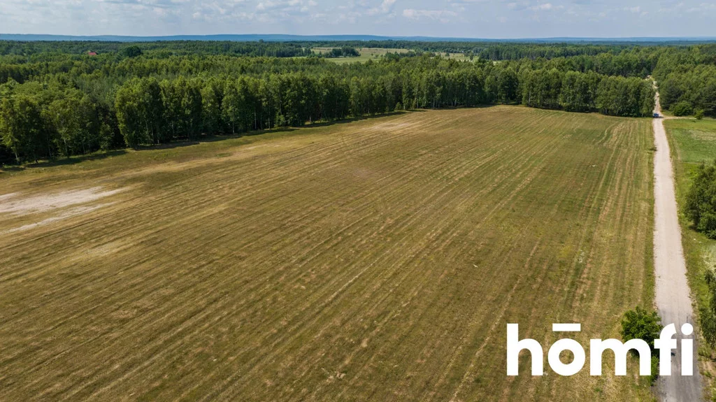 Działka 1 191,00 m², oferta nr , 1793/2089/OGS, Zdziechów