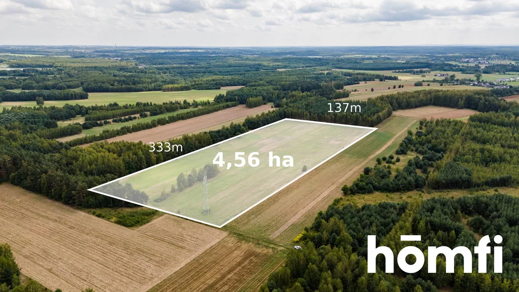 Działka 45 600,00 m², Zdziechów, Sprzedaż