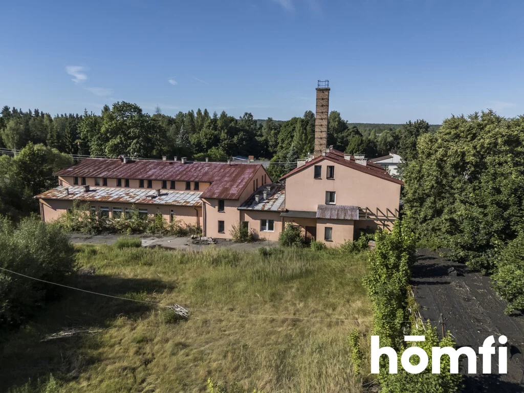 Lokal gastronomiczny 958,00 m², oferta nr , 2033/2089/OLS, Bliżyn, Kościuszki