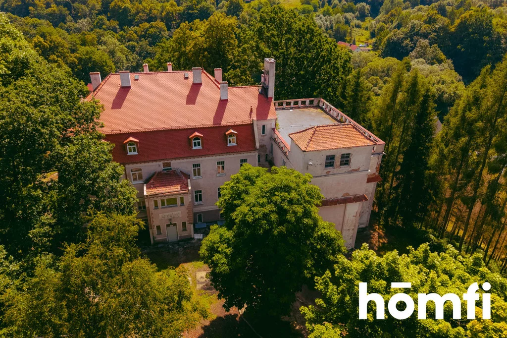 2047/2089/OLS - zdjęcie nr 4