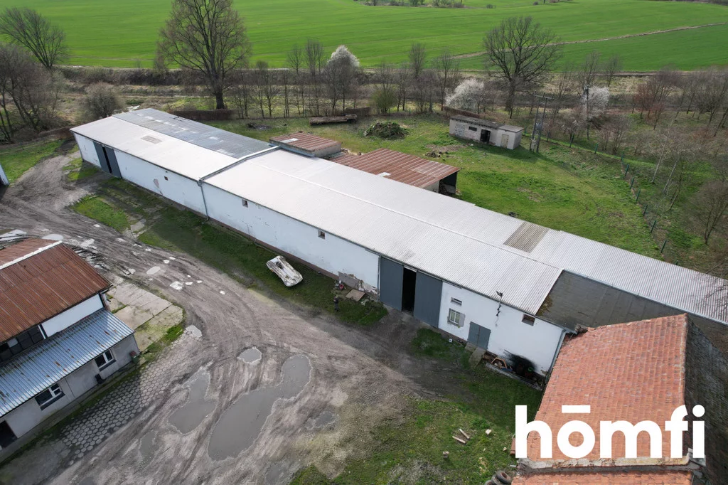 Magazyn 1 600,00 m², oferta nr , 207/2089/OOS, Bielice