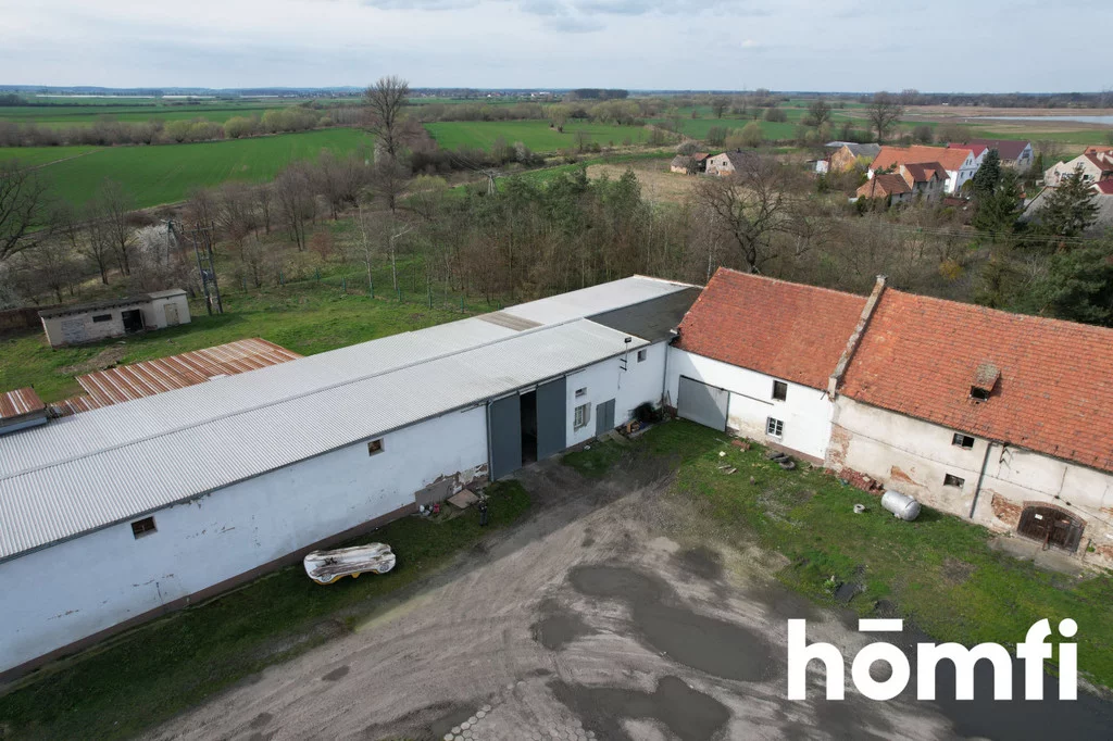 Magazyn 1 600,00 m², oferta nr , 207/2089/OOS, Bielice