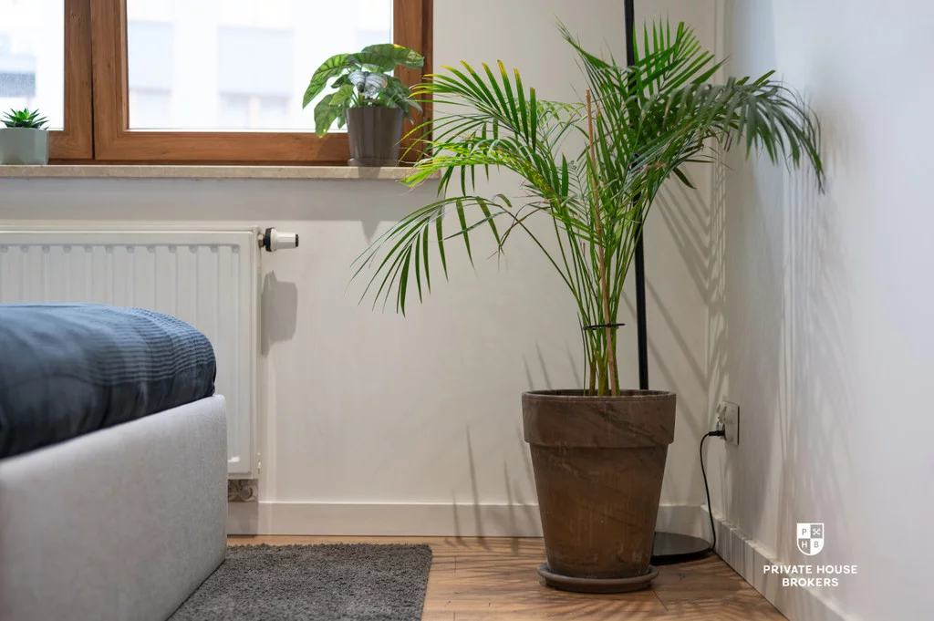 2 pokoje, mieszkanie 50,37 m², piętro 4, oferta nr , 25443/2089/OMS, Kraków, Grzegórzki, Grzegórzecka