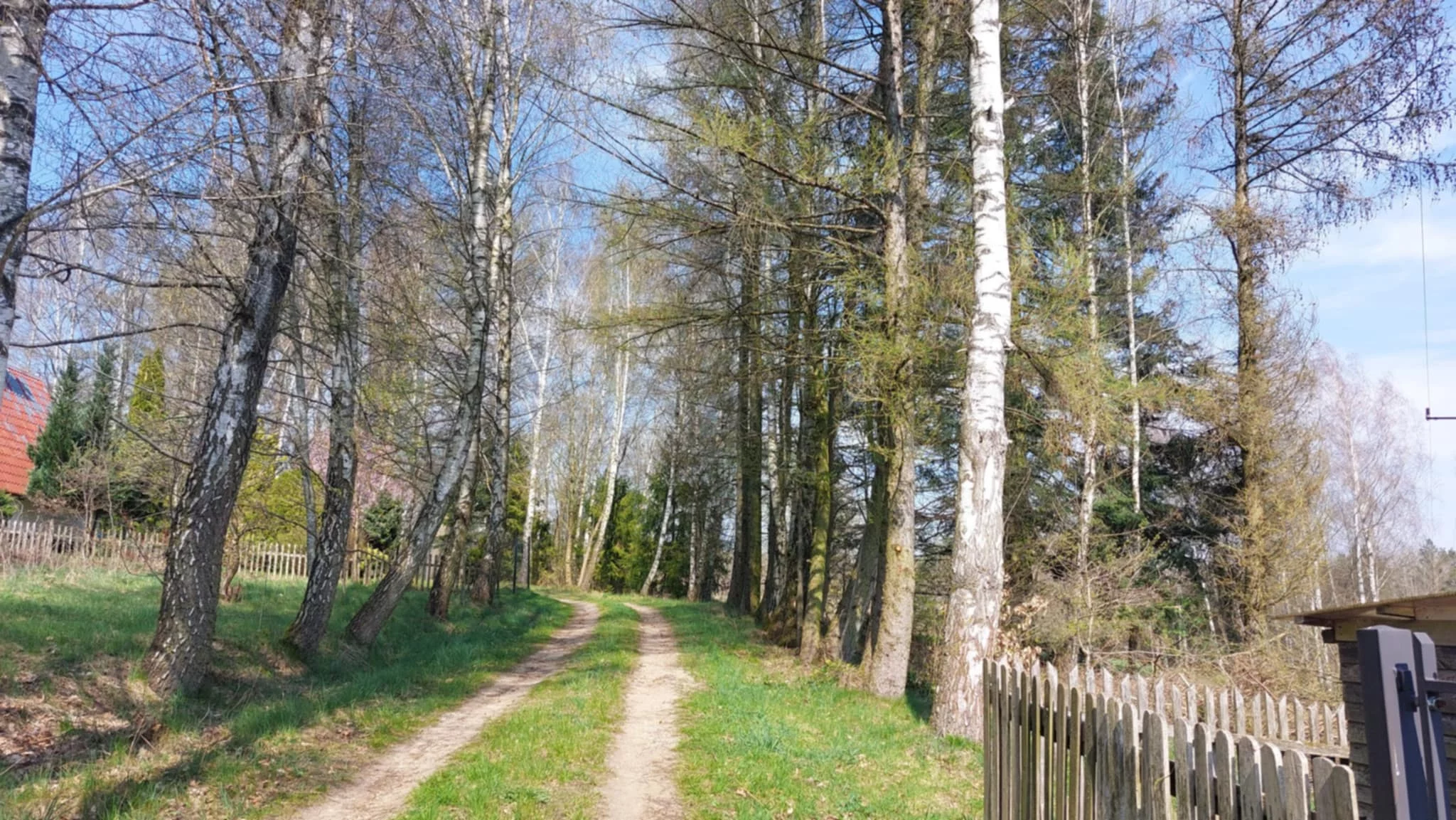 LS2211 - zdjęcie nr 0
