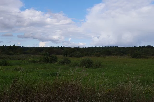 Apartamenty LS2545 Dąbrówka Łąkowa