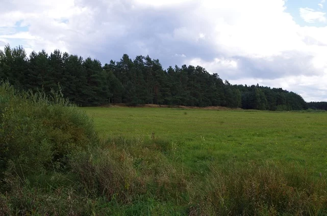 LS2545 - zdjęcie nr 0