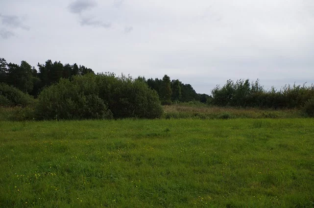 LS2545 - zdjęcie nr 3