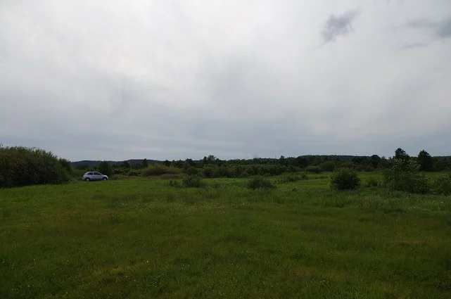 LS2545 - zdjęcie nr 4