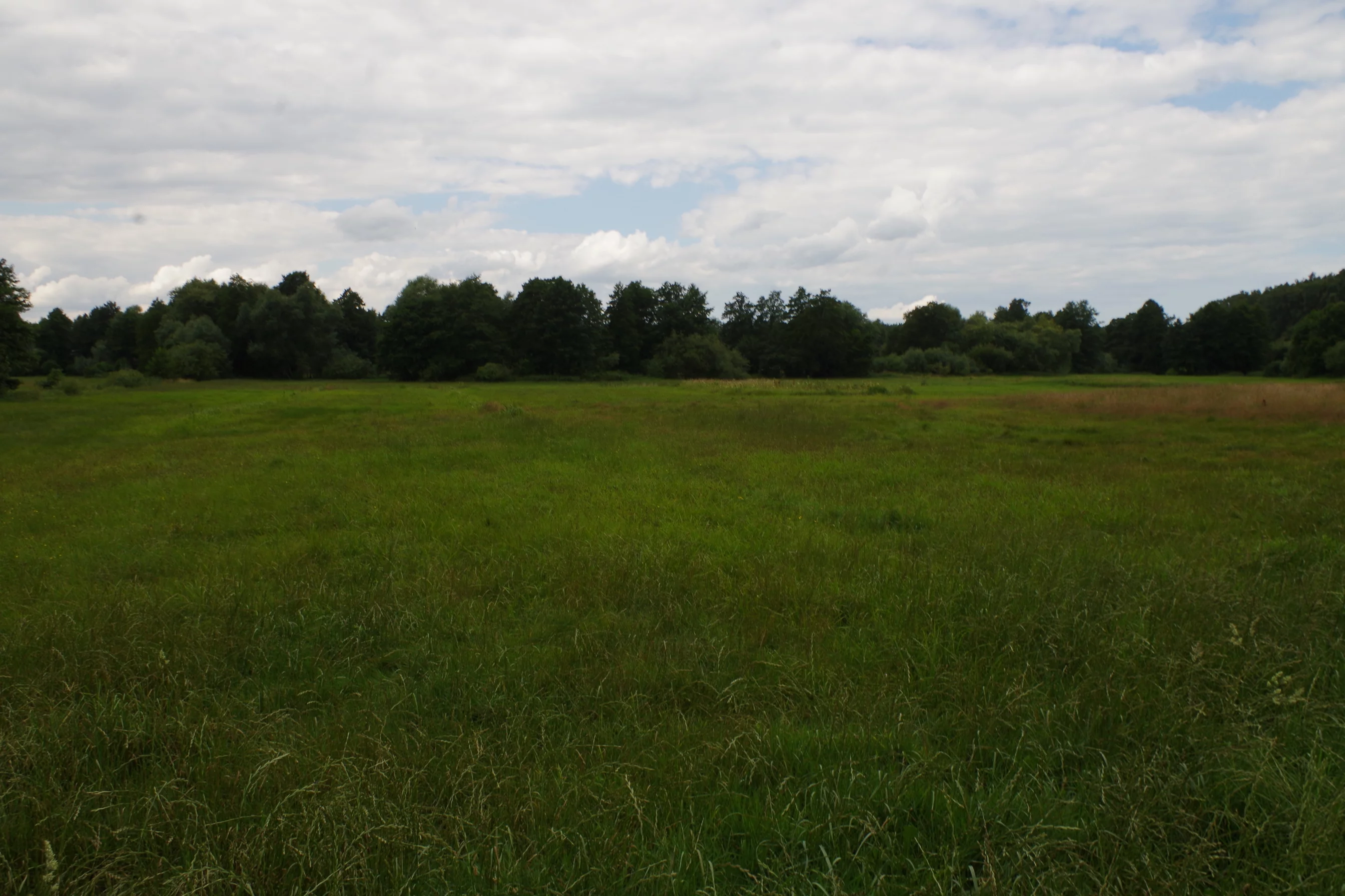 Działka 13 100,00 m², oferta nr , LS2545, Dąbrówka, Łąkowa