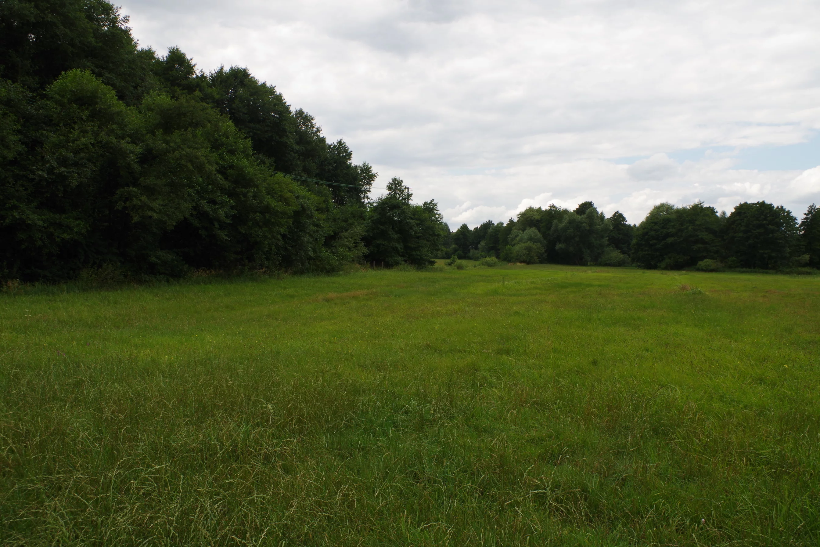 Działka 13 100,00 m², oferta nr , LS2545, Dąbrówka, Łąkowa