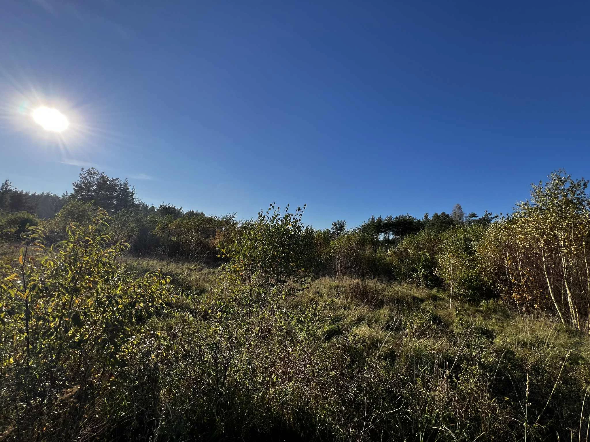 Działka 16 696,00 m², oferta nr , 2564, Dąbrówka, Leśna