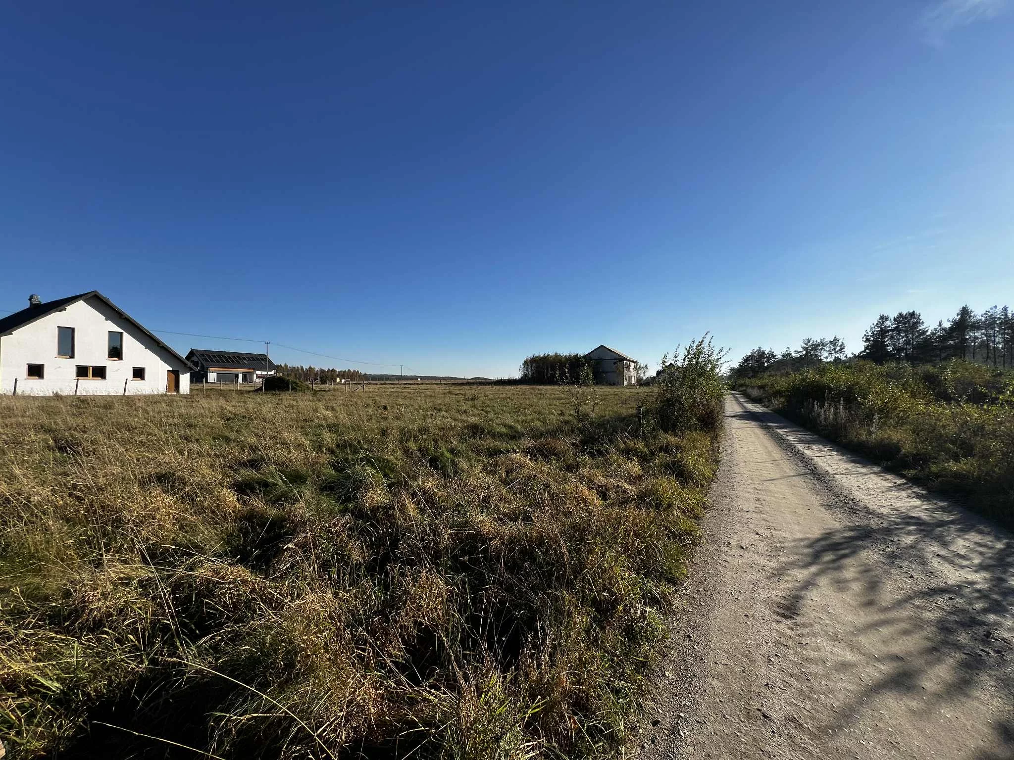 Działka 16 696,00 m², oferta nr , 2564, Dąbrówka, Leśna