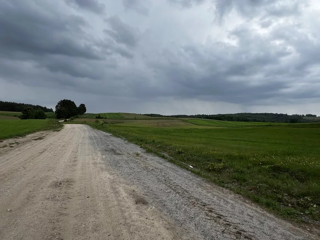 LS2544 - zdjęcie nr 4