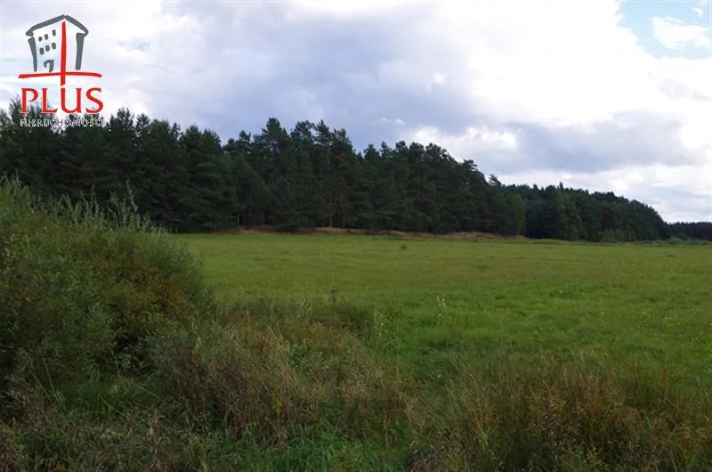 LS02545 - zdjęcie nr 0