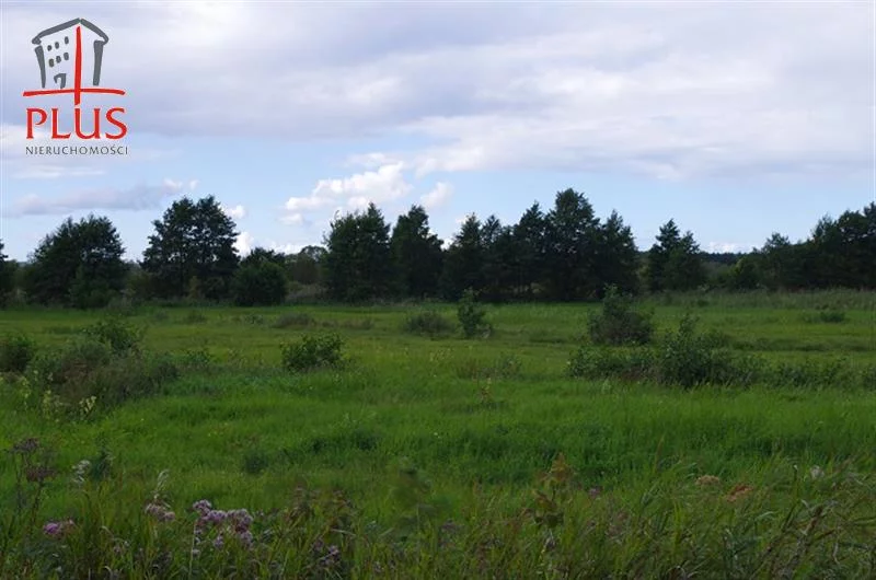 LS02545 - zdjęcie nr 1