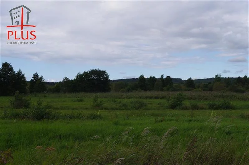 LS02545 - zdjęcie nr 2