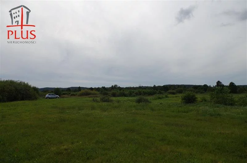 LS02545 - zdjęcie nr 4