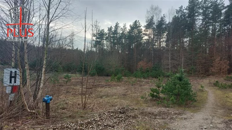 Działka 2 163,00 m², oferta nr , LS02529, Gowino, Kaczmarskiego