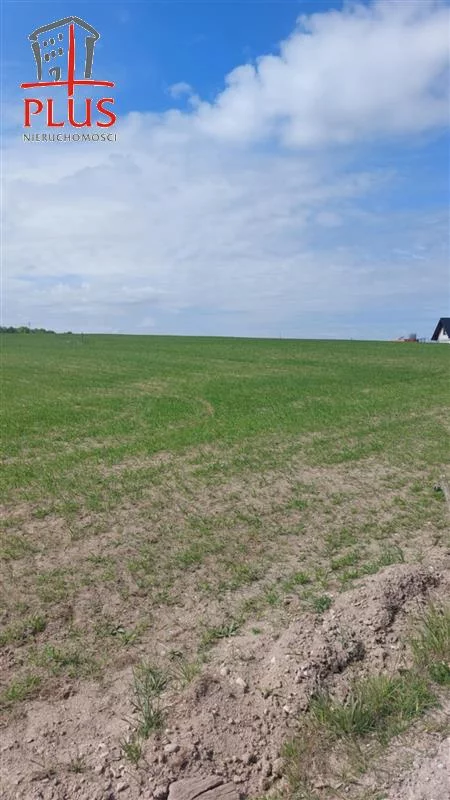 LS02538 - zdjęcie nr 0