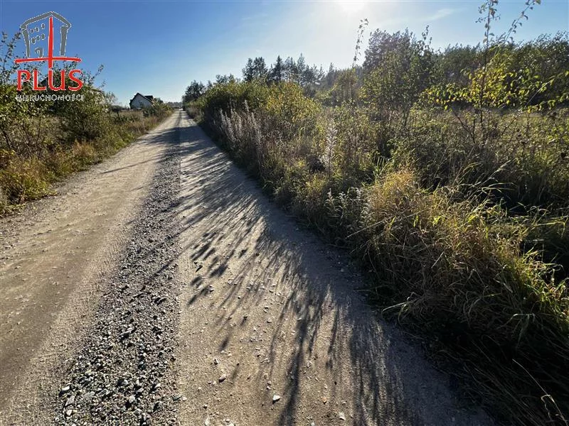 Działka 16 696,00 m², oferta nr , LS02564, Dąbrówka, Leśna