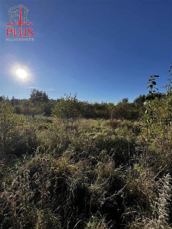 Działka 16 696,00 m², oferta nr , LS02564, Dąbrówka, Leśna