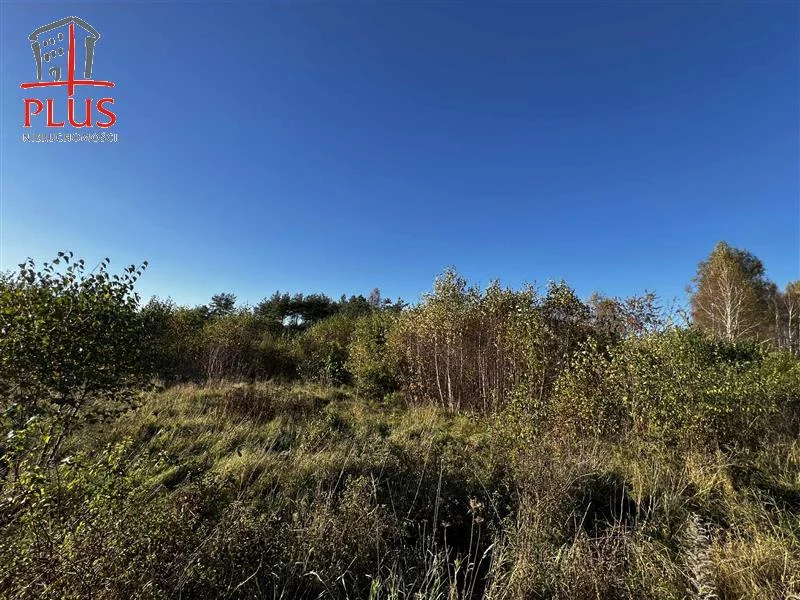 Działka 16 696,00 m², oferta nr , LS02564, Dąbrówka, Leśna