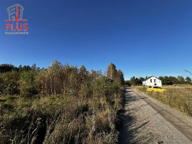 Działka 16 696,00 m², oferta nr , LS02564, Dąbrówka, Leśna