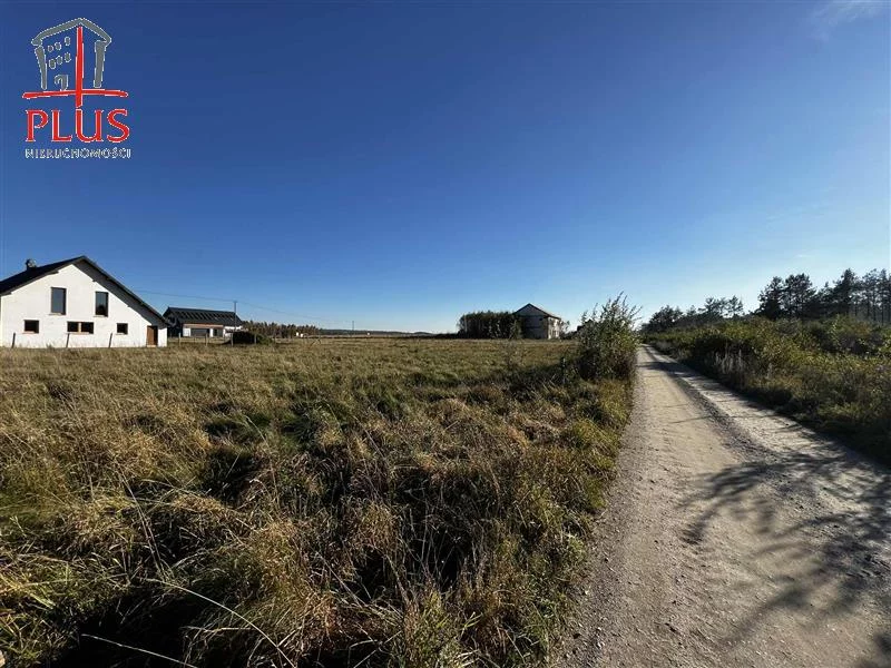 Działka 16 696,00 m², oferta nr , LS02564, Dąbrówka, Leśna