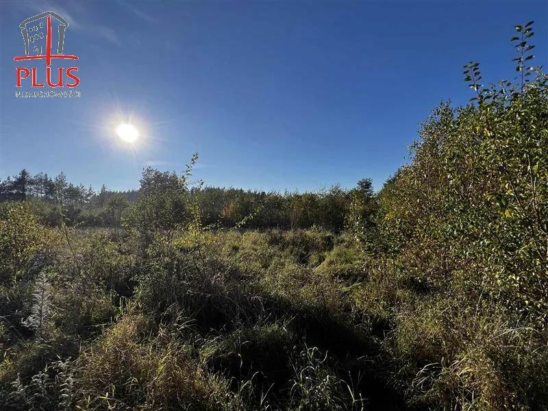 Działka 16 696,00 m², oferta nr , LS02564, Dąbrówka, Leśna