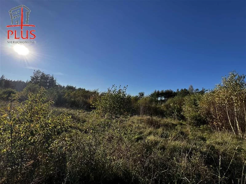Działka 16 696,00 m², oferta nr , LS02564, Dąbrówka, Leśna