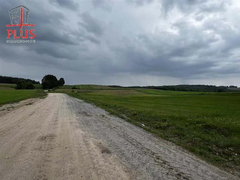 LS02544 - zdjęcie nr 4